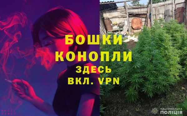 spice Алексин